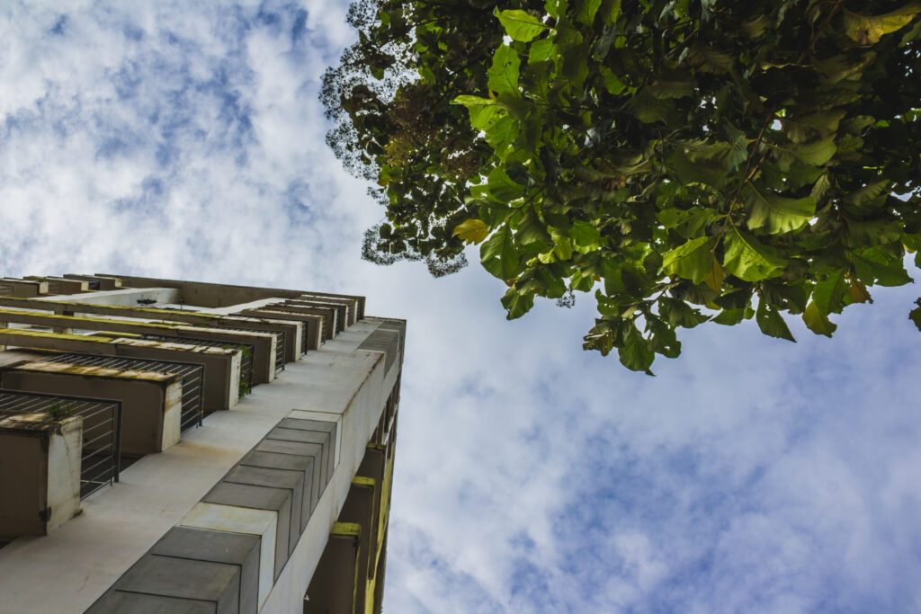 Transformation urbaine découvrez la nouvelle éco-résidence !